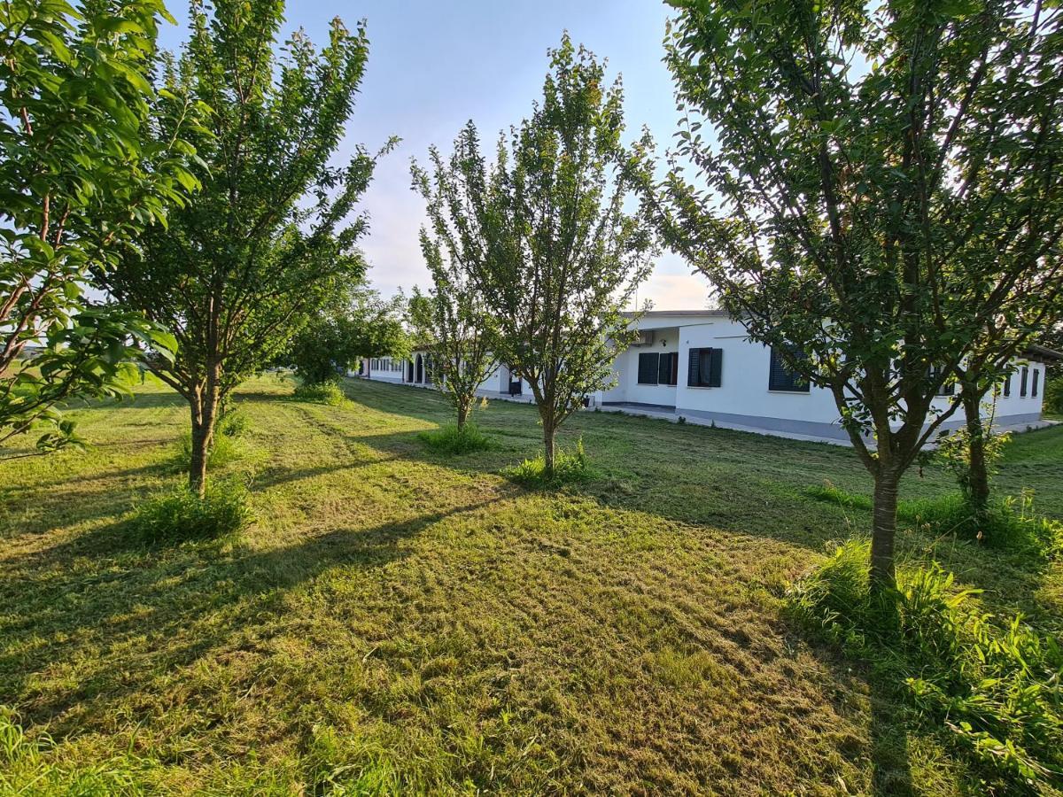 Agriturismo Ca Novak Venezia Spinea Zewnętrze zdjęcie