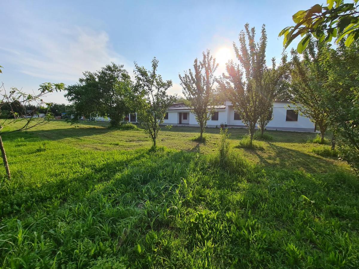 Agriturismo Ca Novak Venezia Spinea Zewnętrze zdjęcie